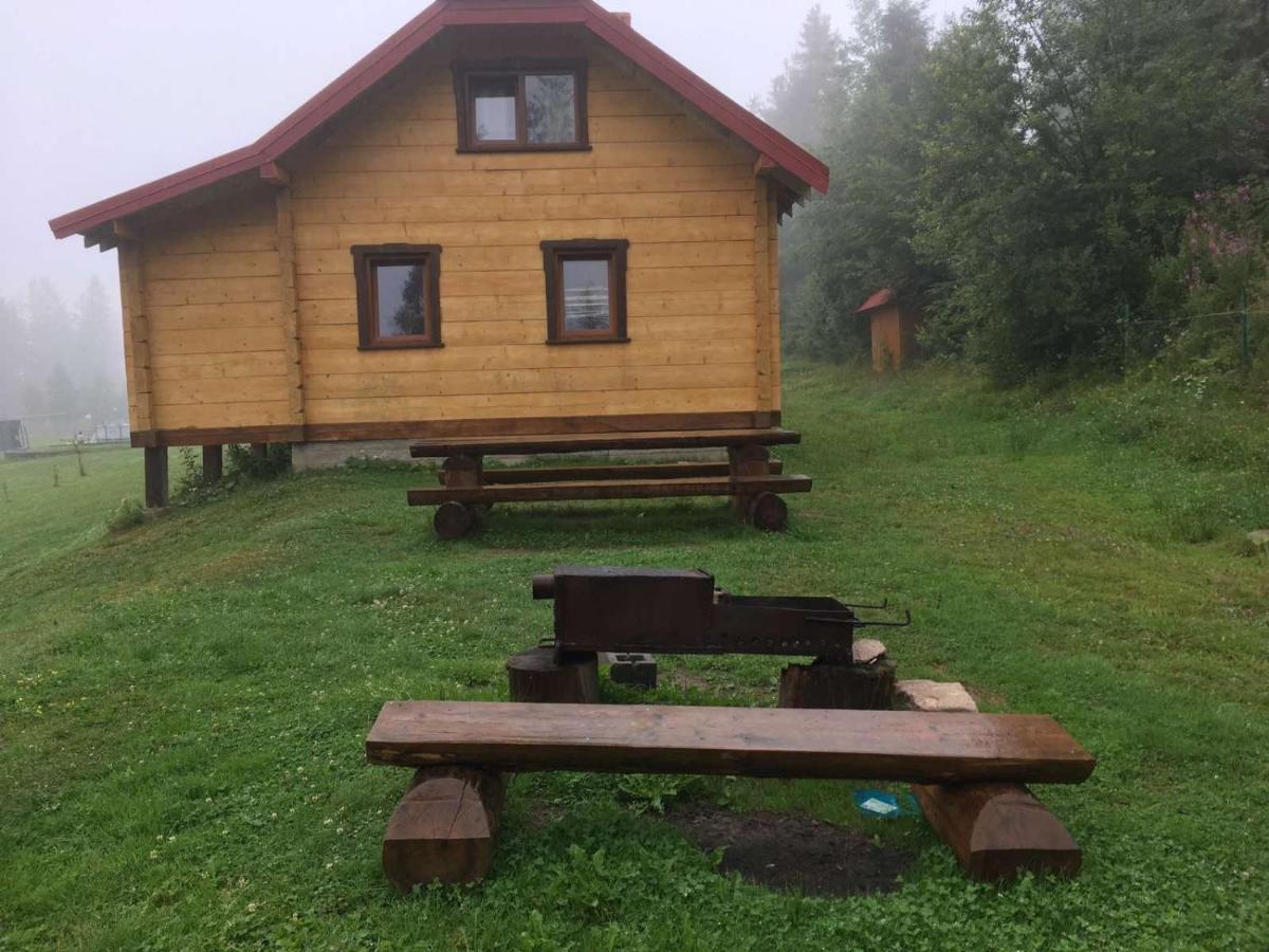 Baza Vidpochynku Ilz Villa Slavske Eksteriør billede