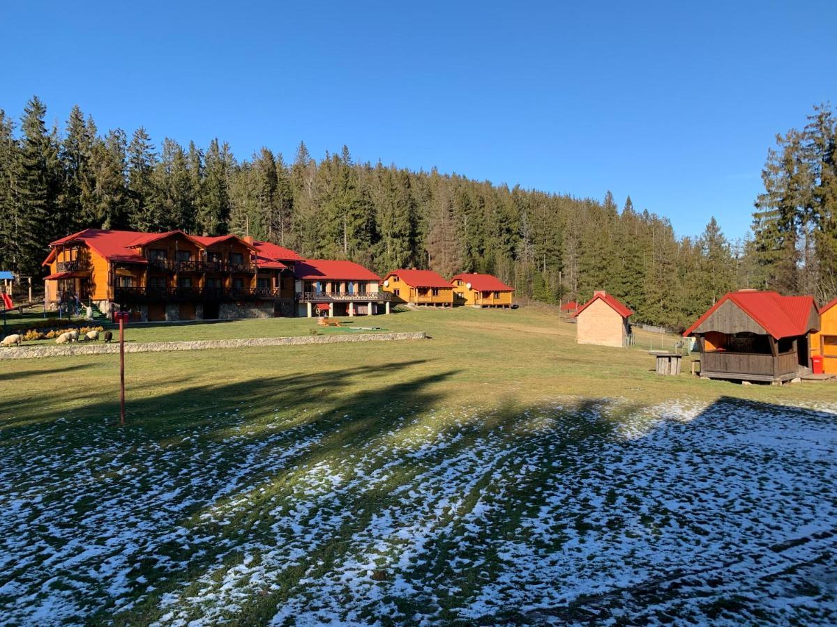 Baza Vidpochynku Ilz Villa Slavske Eksteriør billede